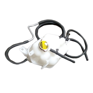 nspf bot 54n.png