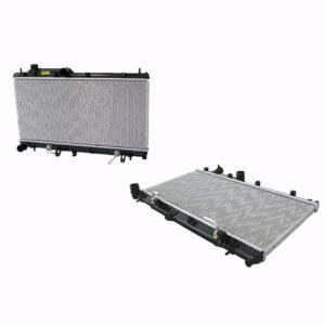 sbip rad 028.jpg